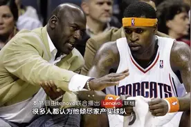 杨澜访谈录 迈克尔·乔丹2015 完整版：一代球星的传奇之路