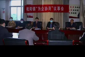 视频｜祝阳镇今年召开“为民协商”会议300余场次图片