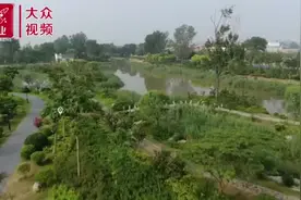 从日照岚山区高质量发展现场会感知民生之暖图片