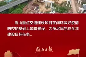 “一桥两路”交通建设小场景 透视眉山发展大格局图片