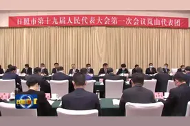 王新生参加岚山代表团和政协科协科技界讨论图片