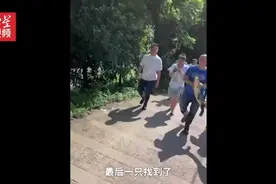 放心了！四川宜宾6条失踪鳄鱼已全部找到图片