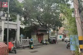 视频｜济南这个片区将大变样！抽空过来拍照留个念吧图片