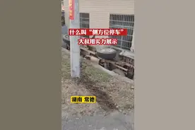 常德大叔实力展示什么叫“侧方位停车”图片