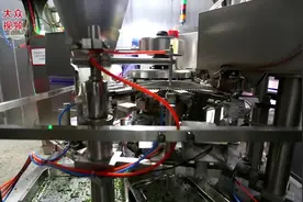 视频︱肥城市：蔬菜地里种出“新希望”图片