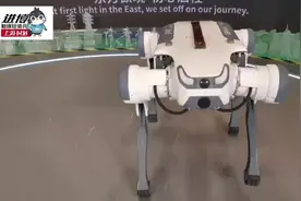 进博会人工智能体验区全新升级到2.0版 快来体验未来生活图片