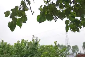 18岁男孩考大学的心愿：以后赚钱带爷爷去看病图片