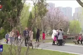 全国爱鼻日：春季过敏性鼻炎高发 注意规范治疗与防护图片