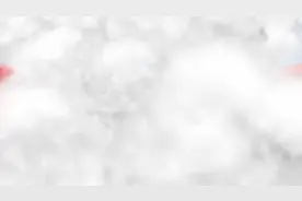 涉外收养有哪些规定？图片