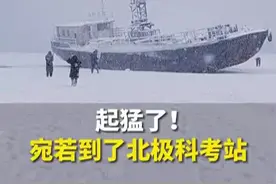 宛如北极科考！烟台冷流雪一脚踩进去能没到膝盖，与东北雪有何不同？图片
