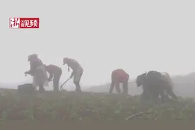 云深不知处？循声遇见宝藏般的淳安乡村图片