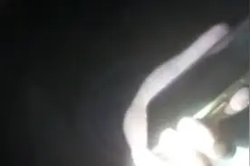 野生“二师兄”串门！上海公安消防共擒豪猪图片