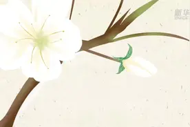 节令之美·春分图片