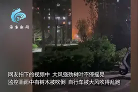 14级阵风已抵北京！全国超一半省份将受影响！居家避险牢记→图片