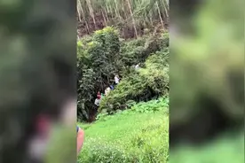 “华南F3”祭祖拜山究竟有多硬核？网友：一年一度的野外生存训练图片