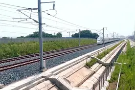 寻“龙”记图片