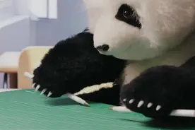 传递祝福！2023高考加油歌来了图片