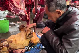 和老爸一起来买牛魔王，这里好多牛头和牛蹄，十块钱一斤能买吗视频封面