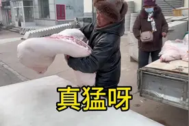 唐山大哥一早上就来了，整了半扇，太厉害了#正宗土猪肉