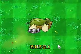 植物大战僵尸：盘点三种杂交“地刺王”？每颗都是王者级别！视频封面