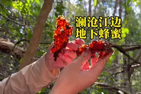 在旅途中，探索、体验不同美食的过程更令人着迷。#旅行日记视频封面