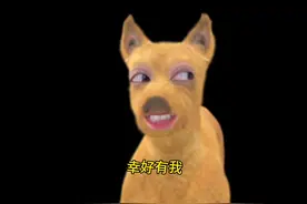 久等啦，今天6点糟糕上线#涛哥玩配音 #高德地图 #高德语音包