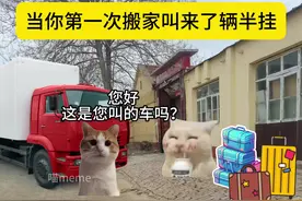 当你第一次搬家叫来了辆半挂#猫meme #搞笑 #真实还原 #搬家视频封面