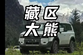 原来藏区门上的钉子是这个用途... #酷路泽 #藏区