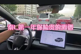 比亚迪秦L第一年保险贵的离谱，比我护卫舰还高