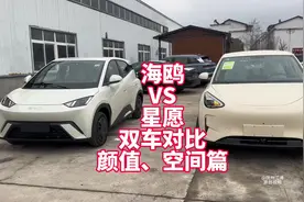 比亚迪海鸥VS吉利星愿双车对比之颜值、空间、内饰篇 同款展示
