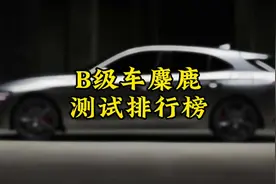 家用B级车麋鹿测试排行榜视频封面