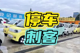 剁椒鱼头的骚操作，你有经历过嘛？#五菱mini #停车 #骚操作视频封面