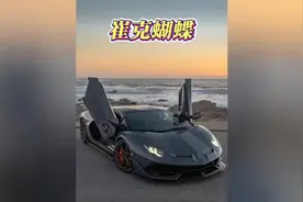 那你知道这玩意有多贵吗？#崔克蝴蝶 #内容启发搜索视频封面