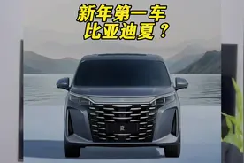 据爆料，比亚迪夏MPV有望在2025年1月8日正式上市，上市即交付。