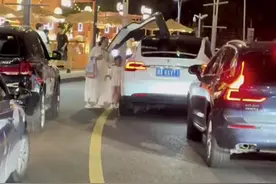 特斯拉不是新能源车吗？怎么还有蓝牌的 #蓝牌特斯拉