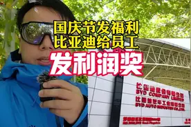 这个国庆节的福利有点大，比亚迪在国际前夕发了24年利润奖