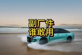 吸血鬼式的终身质保，多少不地道#红旗H5