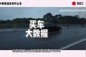 买车大数据分析我适合买什么车 #买车大数据分析我适合买什么车
