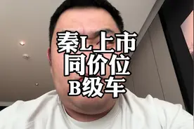 比亚迪秦L上市，同价位燃油B级合资车能干啥？#大众迈腾