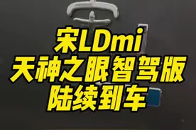 宋LDmi智驾版陆续到车，黑色内饰这不就来了！预计年后上市#比亚迪 #宋LDmi#宋PlusDmi