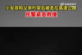【危险！#小女孩和父亲吵架后被丢在高速公路#】图片
