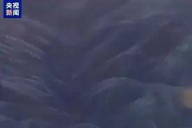 航拍一片黑暗！洛杉矶山区大片森林被山火烧毁图片