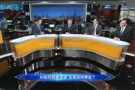 汇正财经杨首骏：人工智能具有规避市场风险的属性丨云上会图片