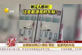 全网被这辆辽A感动 网友：最漂亮的车贴图片