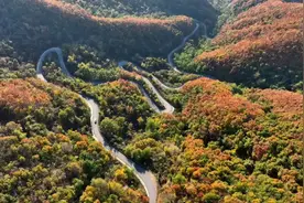 美丽辽宁｜灯塔最美公路图片