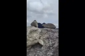 武功山一男子从巨石摔落直升机送医图片