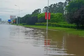 石家庄：“龙吸水”24小时待命，哪有积水到哪排！图片