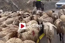 被马上的新疆交警帅到了图片
