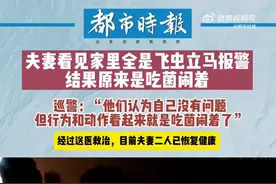 夫妻俩看见家里全是飞虫立马报警图片