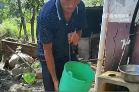 心疼！警犬山中执行任务累到快要中暑图片